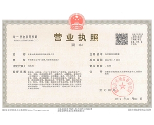 營(yíng)業(yè)執(zhí)照